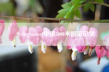 济源中国5000米国家记录