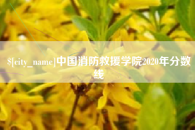 济源中国消防救援学院2020年分数线