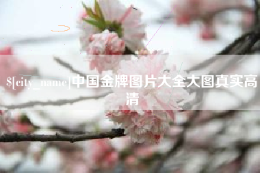 济源中国金牌图片大全大图真实高清
