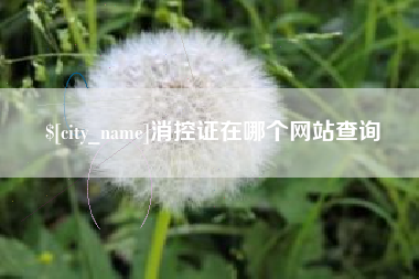 济源消控证在哪个网站查询