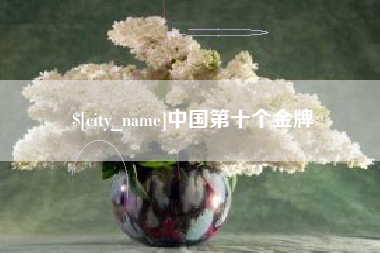 济源中国第十个金牌