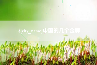 济源中国的几个金牌