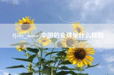 济源中国的金牌是什么样的