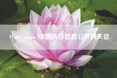 济源中国执行信息公开网失信