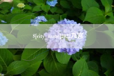 济源2022九宫